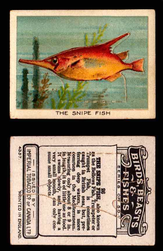 1923 Birds, Beasts, Fishes C1 Imperial Tobacco Vintage Trading Cards Singles #26 The Snipe Fish  - TvMovieCards.com