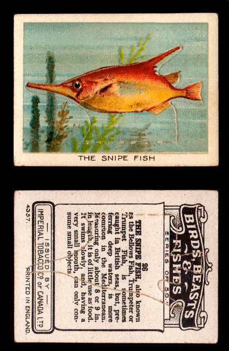 1923 Birds, Beasts, Fishes C1 Imperial Tobacco Vintage Trading Cards Singles #26 The Snipe Fish  - TvMovieCards.com