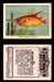 1923 Birds, Beasts, Fishes C1 Imperial Tobacco Vintage Trading Cards Singles #26 The Snipe Fish  - TvMovieCards.com