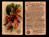 Beautiful Flowers New Series You Pick Singles Card #1-#60 Arm & Hammer 1888 J16 #26 Orchid - Shell Flower  - TvMovieCards.com