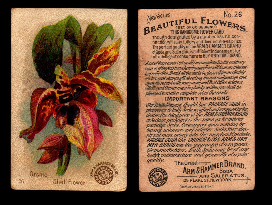 Beautiful Flowers New Series You Pick Singles Card #1-#60 Arm & Hammer 1888 J16 #26 Orchid - Shell Flower  - TvMovieCards.com