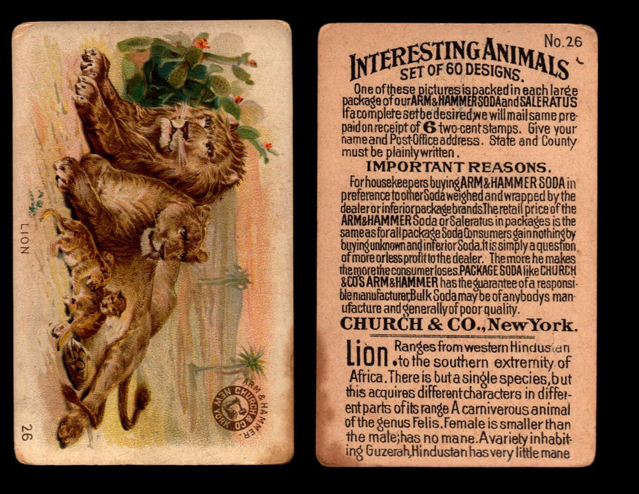 Interesting Animals You Pick Single Card #1-60 1892 J10 Church Arm & Hammer #26 Lion  - TvMovieCards.com
