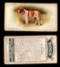 1925 Dogs 2nd Series Imperial Tobacco Vintage Trading Cards U Pick Singles #1-50 #26 St Bernard  - TvMovieCards.com