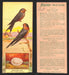 1924 Patterson's Bird Chocolate Vintage Trading Cards U Pick Singles #1-46 26 Barn Swallow  - TvMovieCards.com