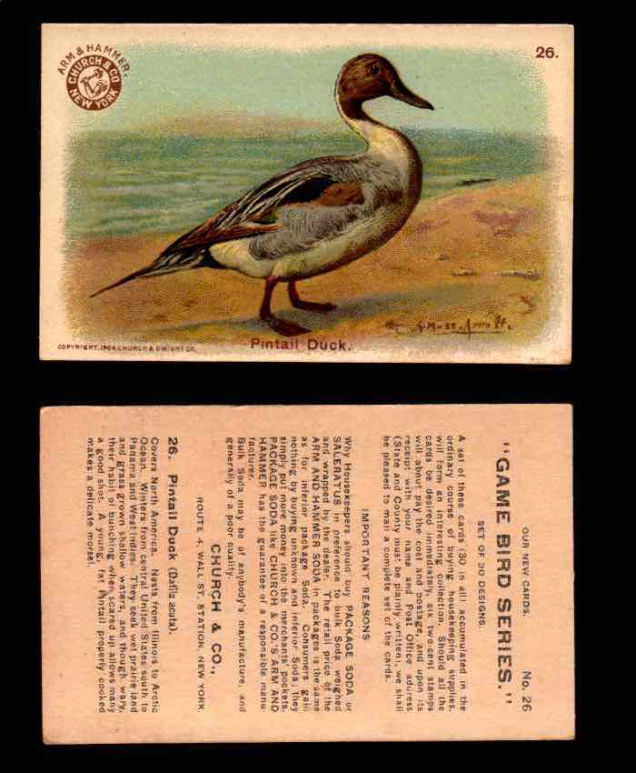 1904 Arm & Hammer Game Bird Series Vintage Trading Cards Singles #1-30 #26 Pintail Duck  - TvMovieCards.com