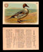 1904 Arm & Hammer Game Bird Series Vintage Trading Cards Singles #1-30 #26 Pintail Duck  - TvMovieCards.com
