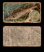 1910 Fish and Bait Imperial Tobacco Vintage Trading Cards You Pick Singles #1-50 #26 The Flake  - TvMovieCards.com