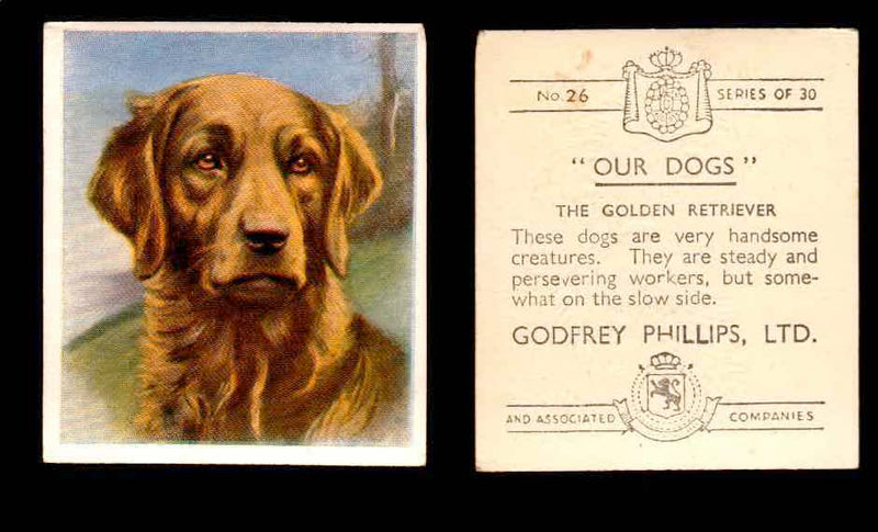 1939 Godfrey Phillips "Our Dogs" Tobacco You Pick Singles Trading Cards #1-30 #26 The Golden Retriever  - TvMovieCards.com