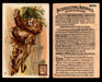 Interesting Animals You Pick Single Card #1-60 1892 J10 Church Arm & Hammer #26 Lion Dwight Soda  - TvMovieCards.com