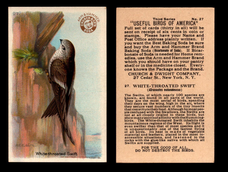 Birds - Useful Birds of America 3rd Series You Pick Singles Church & Dwight J-7 #27 White-throated Swift  - TvMovieCards.com