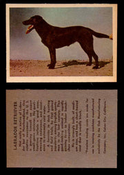 1957 Dogs Premiere Oak Man. R-724-4 Vintage Trading Cards You Pick Singles #1-42 #27 Labrador Retriever  - TvMovieCards.com
