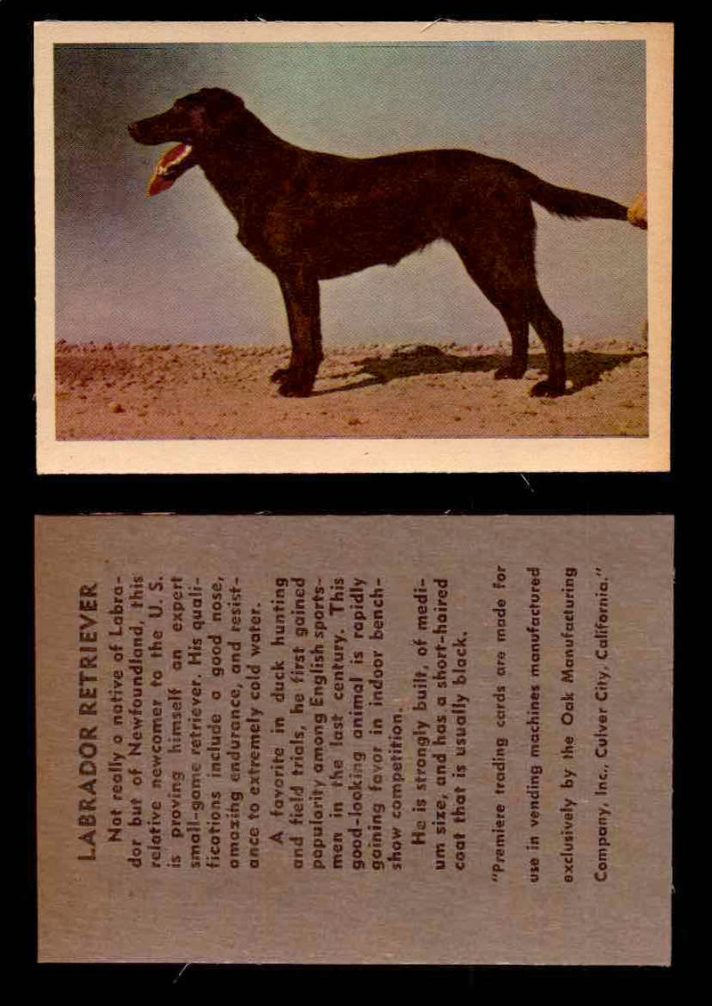 1957 Dogs Premiere Oak Man. R-724-4 Vintage Trading Cards You Pick Singles #1-42 #27 Labrador Retriever  - TvMovieCards.com