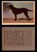 1957 Dogs Premiere Oak Man. R-724-4 Vintage Trading Cards You Pick Singles #1-42 #27 Labrador Retriever  - TvMovieCards.com