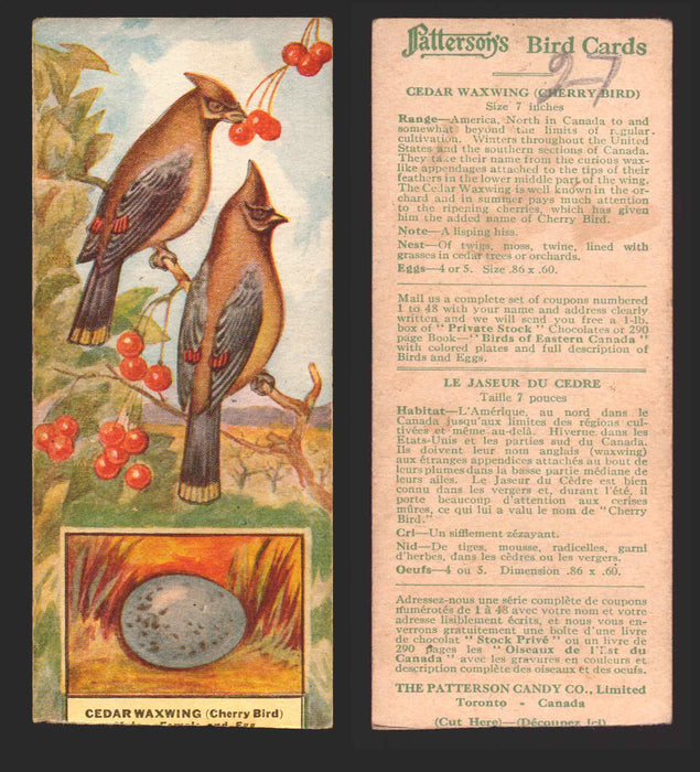 1924 Patterson's Bird Chocolate Vintage Trading Cards U Pick Singles #1-46 27 Cedar Waxwing (Cherry Bird)  - TvMovieCards.com
