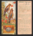 1924 Patterson's Bird Chocolate Vintage Trading Cards U Pick Singles #1-46 27 Cedar Waxwing (Cherry Bird)  - TvMovieCards.com