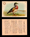 1904 Arm & Hammer Game Bird Series Vintage Trading Cards Singles #1-30 #27 Wood Duck  - TvMovieCards.com