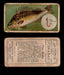 1910 Fish and Bait Imperial Tobacco Vintage Trading Cards You Pick Singles #1-50 #27 The Ruffe  - TvMovieCards.com
