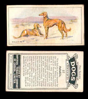 1925 Dogs 2nd Series Imperial Tobacco Vintage Trading Cards U Pick Singles #1-50 #27 Salukis  - TvMovieCards.com