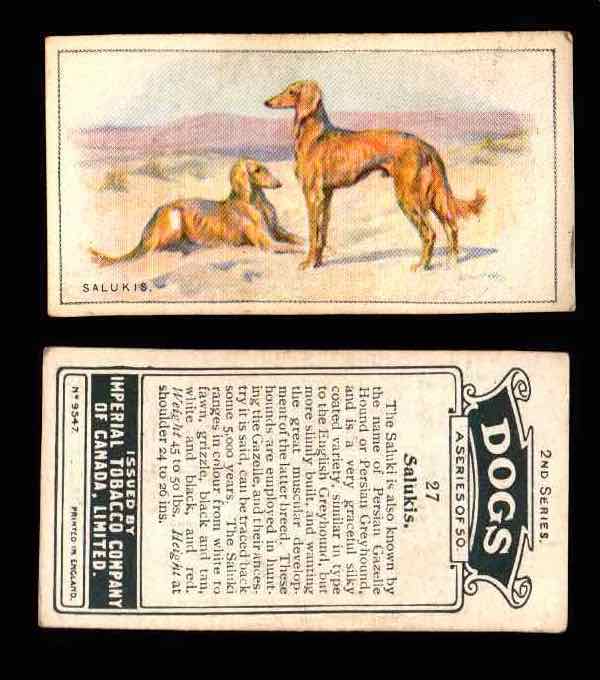 1925 Dogs 2nd Series Imperial Tobacco Vintage Trading Cards U Pick Singles #1-50 #27 Salukis  - TvMovieCards.com