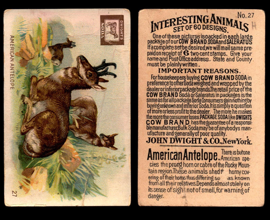 Interesting Animals You Pick Single Card #1-60 1892 J10 Church Arm & Hammer #27 American Antelope Dwight Soda  - TvMovieCards.com