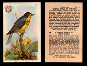 Birds - Useful Birds of America 3rd Series You Pick Singles Church & Dwight J-7 #28 Canada Warbler  - TvMovieCards.com