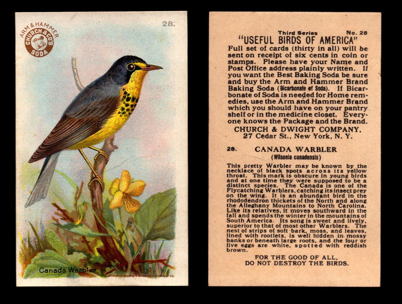 Birds - Useful Birds of America 3rd Series You Pick Singles Church & Dwight J-7 #28 Canada Warbler  - TvMovieCards.com