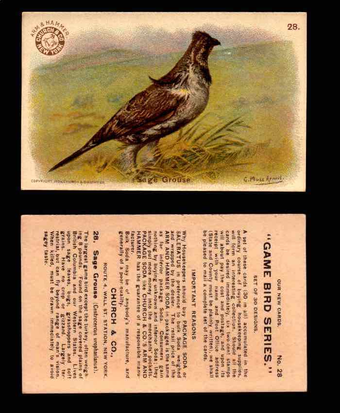 1904 Arm & Hammer Game Bird Series Vintage Trading Cards Singles #1-30 #28 Sage Grouse  - TvMovieCards.com
