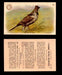 1904 Arm & Hammer Game Bird Series Vintage Trading Cards Singles #1-30 #28 Sage Grouse  - TvMovieCards.com