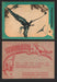 1961 Dinosaur Series Vintage Trading Card You Pick Singles #1-80 Nu Card 28	Rhamphorhynchus  - TvMovieCards.com