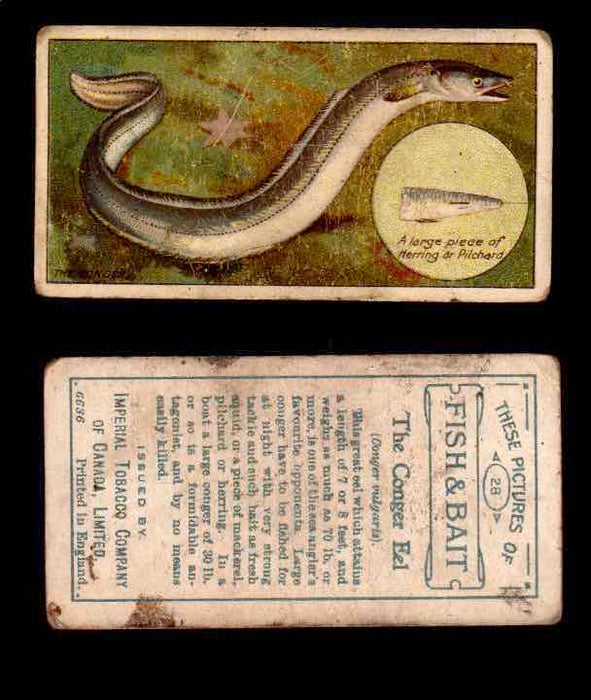1910 Fish and Bait Imperial Tobacco Vintage Trading Cards You Pick Singles #1-50 #28 The Conger Eel  - TvMovieCards.com