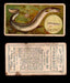 1910 Fish and Bait Imperial Tobacco Vintage Trading Cards You Pick Singles #1-50 #28 The Conger Eel  - TvMovieCards.com