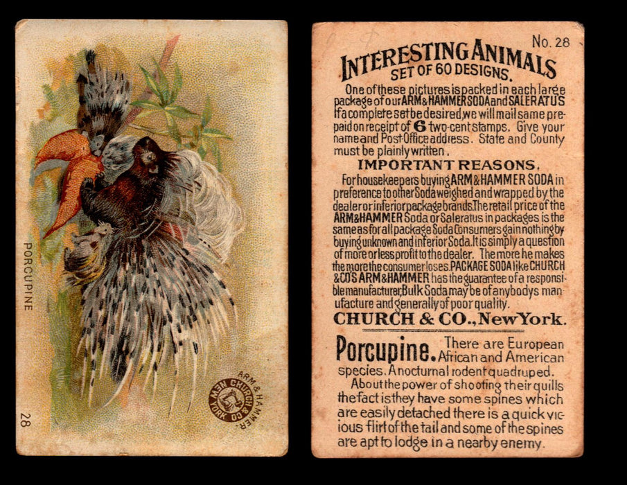 Interesting Animals You Pick Single Card #1-60 1892 J10 Church Arm & Hammer #28 Porcupine  - TvMovieCards.com