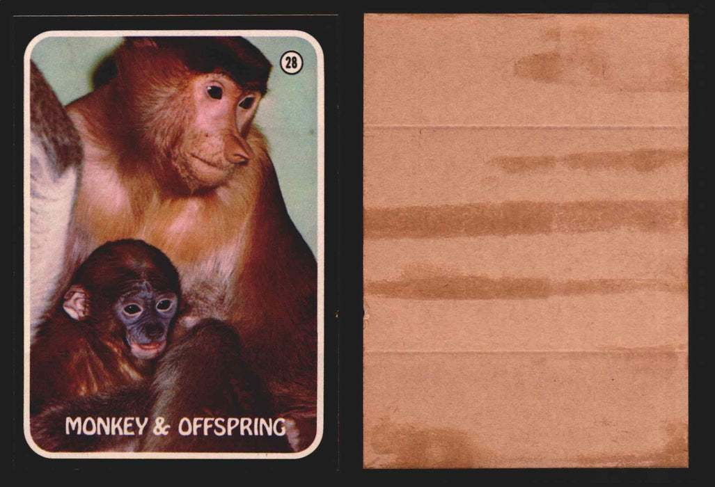 Zoo's Who Topps Animal Sticker Trading Cards You Pick Singles #1-40 1975 #28 Monkey & Offspring  - TvMovieCards.com