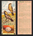 1924 Patterson's Bird Chocolate Vintage Trading Cards U Pick Singles #1-46 28 Bobolink  - TvMovieCards.com