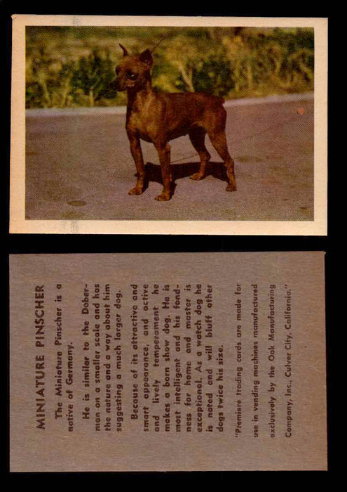 1957 Dogs Premiere Oak Man. R-724-4 Vintage Trading Cards You Pick Singles #1-42 #28 Miniature Pinscher  - TvMovieCards.com