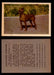 1957 Dogs Premiere Oak Man. R-724-4 Vintage Trading Cards You Pick Singles #1-42 #28 Miniature Pinscher  - TvMovieCards.com