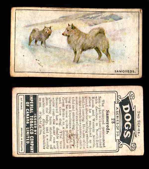 1925 Dogs 2nd Series Imperial Tobacco Vintage Trading Cards U Pick Singles #1-50 #28 Samoyeds  - TvMovieCards.com