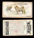 1925 Dogs 2nd Series Imperial Tobacco Vintage Trading Cards U Pick Singles #1-50 #28 Samoyeds  - TvMovieCards.com