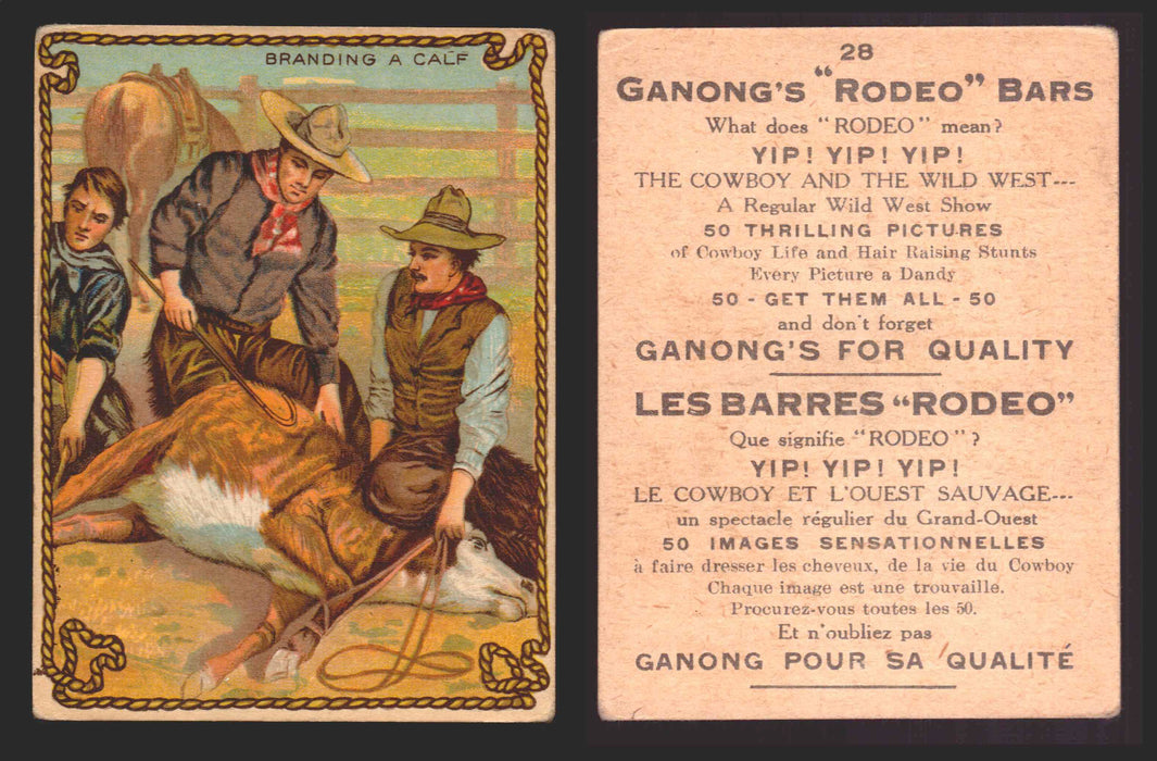 1930 Ganong "Rodeo" Bars V155 Cowboy Series #1-50 Trading Cards Singles #28 Branding A Calf  - TvMovieCards.com