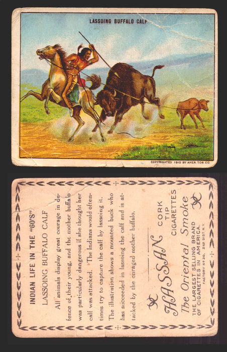1910 T73 Hassan Cigarettes Indian Life In The 60's Tobacco Trading Cards Singles #28 Lassoing Buffalo Calf  - TvMovieCards.com
