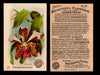 Beautiful Flowers New Series You Pick Singles Card #1-#60 Arm & Hammer 1888 J16 #28 Orchid - Odontoglossum Vexillare  - TvMovieCards.com