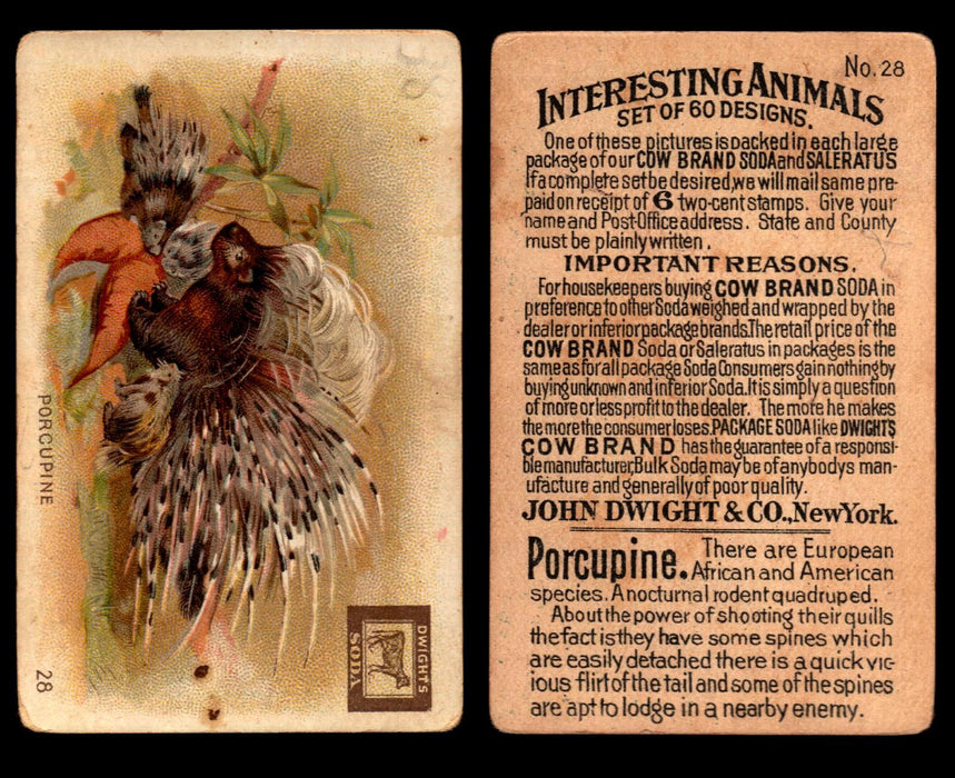 Interesting Animals You Pick Single Card #1-60 1892 J10 Church Arm & Hammer #28 Porcupine Dwight Soda  - TvMovieCards.com