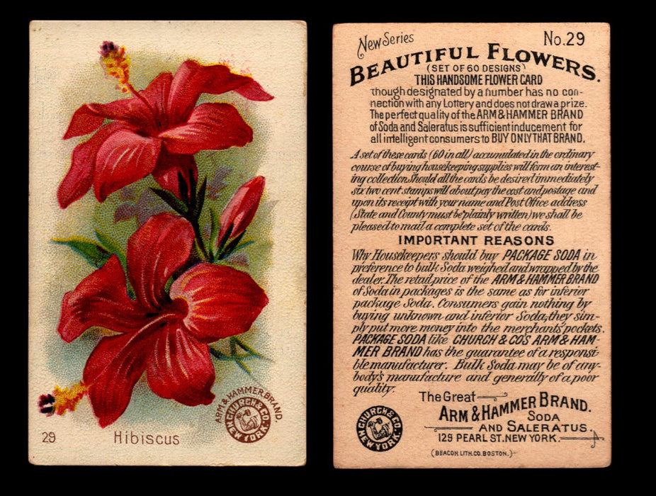 Beautiful Flowers New Series You Pick Singles Card #1-#60 Arm & Hammer 1888 J16 #29 Hibiscus  - TvMovieCards.com
