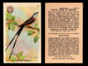 Birds - Useful Birds of America 3rd Series You Pick Singles Church & Dwight J-7 #29 Scissor-tailed Flycatcher  - TvMovieCards.com