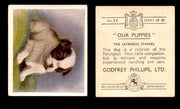 1936 Godfrey Phillips "Our Puppies" Tobacco You Pick Singles Trading Cards #1-30 #29 The Japanese Spaniel  - TvMovieCards.com