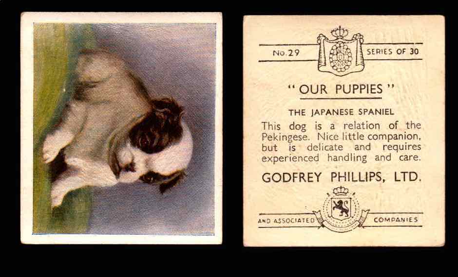 1936 Godfrey Phillips "Our Puppies" Tobacco You Pick Singles Trading Cards #1-30 #29 The Japanese Spaniel  - TvMovieCards.com