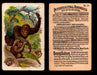 Interesting Animals You Pick Single Card #1-60 1892 J10 Church Arm & Hammer #29 Orang-Outang  - TvMovieCards.com
