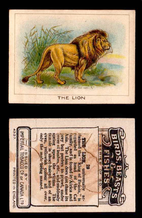 1923 Birds, Beasts, Fishes C1 Imperial Tobacco Vintage Trading Cards Singles #29 The Lion  - TvMovieCards.com