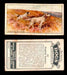 1925 Dogs 2nd Series Imperial Tobacco Vintage Trading Cards U Pick Singles #1-50 #29 English Setters  - TvMovieCards.com