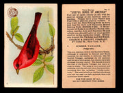 Birds - Useful Birds of America 3rd Series You Pick Singles Church & Dwight J-7 #2 Summer Tanager  - TvMovieCards.com